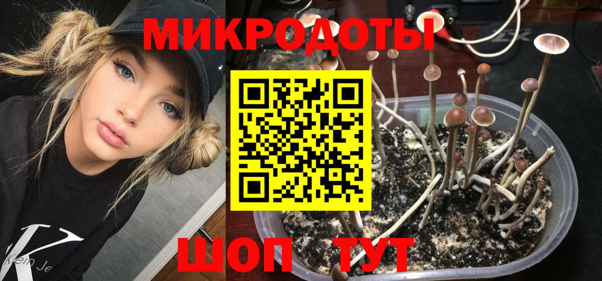 Галлюциногенные грибы GOLDEN TEACHER Урюпинск